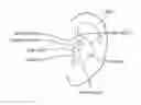 Fig. 01 - Integration of sensors into earphones