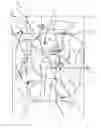 Fig. 04 - Access point position determination by mobile devices crowd sourcing