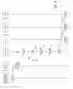 Fig. 07 - Multicast messaging within a wireless communication system