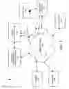 Fig. 02 - SMS proxying