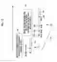 Fig. 13 - Initial rescue information collection device, operation method thereof, recording medium, and system