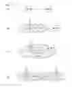 Fig. 12 - Method for proximity-based notification in wireless communication system, and device for same