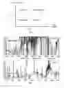 Fig. 07 - Resource sharing between radio access technologies