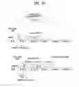 Fig. 13 - Method of transmitting and receiving downlink signal in unlicensed band in wireless communication system and apparatus therefor