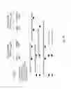Fig. 19 - Multiple-use wireless network