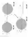 Fig. 16 - Systems and methods for combined thermal and electrical energy transfer