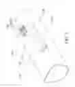 Fig. 08 - Bicycle component