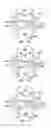 Fig. 20 - Emitter, and drip irrigation tube