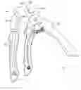 Fig. 01 - Illuminated nail clipper
