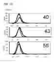 Fig. 14 - Pathogen-resistant animals having modified CD163 genes