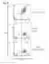 Fig. 24 - Pathogen-resistant animals having modified CD163 genes