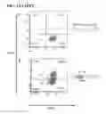 Fig. 25 - Pathogen-resistant animals having modified CD163 genes