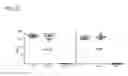 Fig. 29 - Pathogen-resistant animals having modified CD163 genes