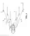 Fig. 02 - Clear planer board