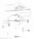Fig. 07 - Drift fence camera trap