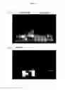Fig. 04 - Compositions and methods for the production and delivery of double stranded RNA