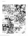 Fig. 02 - CONTROL OF ARTHROPOD INFESTATION USING PARTICLES COMPRISING AN ENTOMOPATHOGEN AND WAX