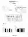 Fig. 16 - METHODS AND FORMULATIONS PROMOTING TISSUE/ORGAN REGENERATION, LONGEVITY AND HEALTHSPAN