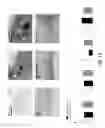 Fig. 19 - METHODS AND FORMULATIONS PROMOTING TISSUE/ORGAN REGENERATION, LONGEVITY AND HEALTHSPAN