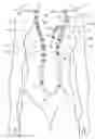 Fig. 01 - Swimsuit assembly