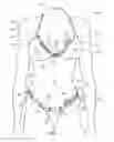 Fig. 02 - Swimsuit assembly