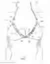 Fig. 03 - Swimsuit assembly