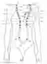 Fig. 04 - Swimsuit assembly