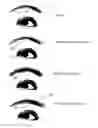 Fig. 01 - ARTICLE AND PROCESS FOR COSMETICALLY ENHANCING EYEBROWS