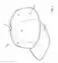 Fig. 02 - Hat with rotatable and removable brim