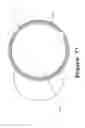 Fig. 80 - Multipurpose Head Wear and Storage Device