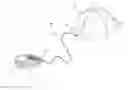 Fig. 01 - HAT LEASH