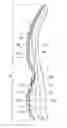 Fig. 01 - Sole structure for a shoe