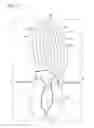 Fig. 06 - Sole structure for a shoe