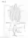 Fig. 07 - Sole structure for a shoe