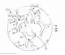 Fig. 05 - Upper for an article of footwear with auxetic configuration