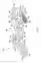 Fig. 06 - Shoe having an inflatable bladder