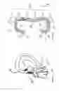 Fig. 09 - Decorative Athletic Earpieces