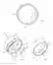 Fig. 03 - RING ASSEMBLY WITH INNER AND OUTER MOVABLE RING BODIES