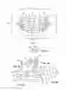 Fig. 02 - Hair grid measuring device and method