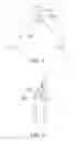 Fig. 05 - NECK STRAP STRUCTURE AND AUXILIARY MEMBER THEREOF