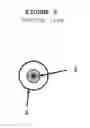Fig. 04 - Tai Chi Sword Brush