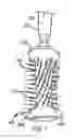 Fig. 02 - Hairbrush with improved temperature characteristics