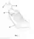 Fig. 03 - Apparatus and method for horizontal storage and display of shoes
