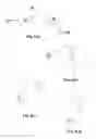 Fig. 06 - Apparatus and method for horizontal storage and display of shoes