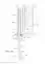 Fig. 19 - Combination bracket and garment hanger system and assembly mountable to an overhead trim piece associated with a doorway such as for rotatably supporting a garment during steam cleaning