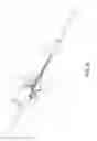 Fig. 07 - Endoscope with variable profile tip