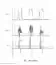 Fig. 19 - Endoscope probes and systems, and methods for use therewith