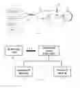 Fig. 02 - Enhanced vessel characterization in optical coherence tomograogphy angiography