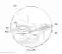 Fig. 06 - DYNAMIC SURGICAL DATA OVERLAY