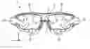 Fig. 01 - SPECTACLE DEVICE WITH AN ADJUSTABLE FIELD OF VIEW AND METHOD